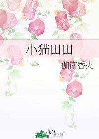 小猫田田